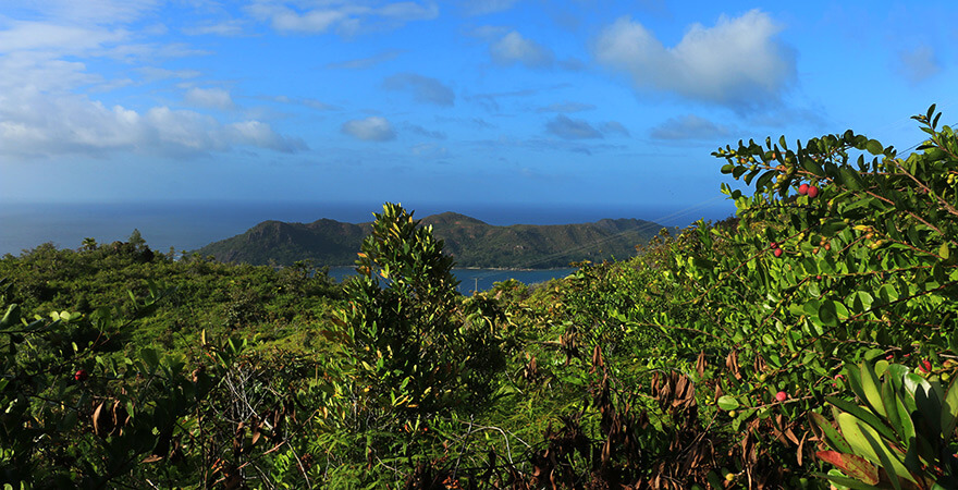 Zimbabwe,praslin,seychelles Zimbabwe,praslin,seychelles