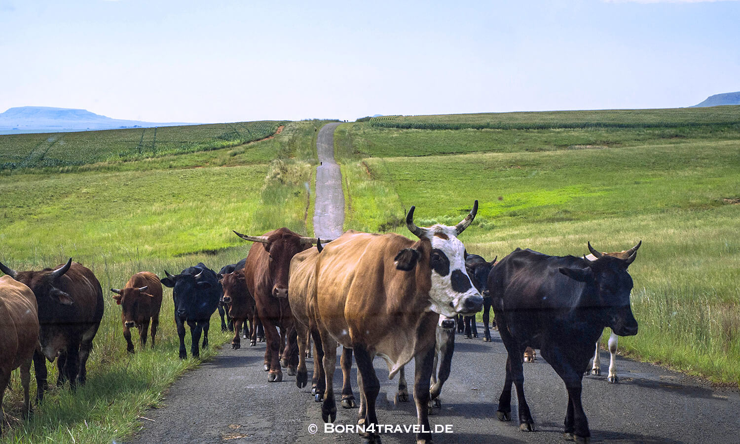 Montusi Mountain,Bergville,Südafrika,born4travel.de
