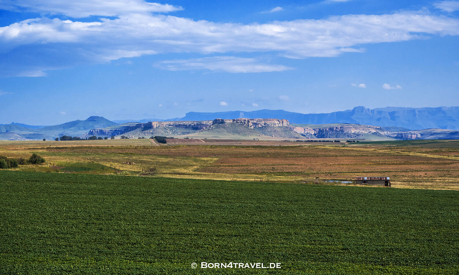 Free State,Südafrika,born4travel.de