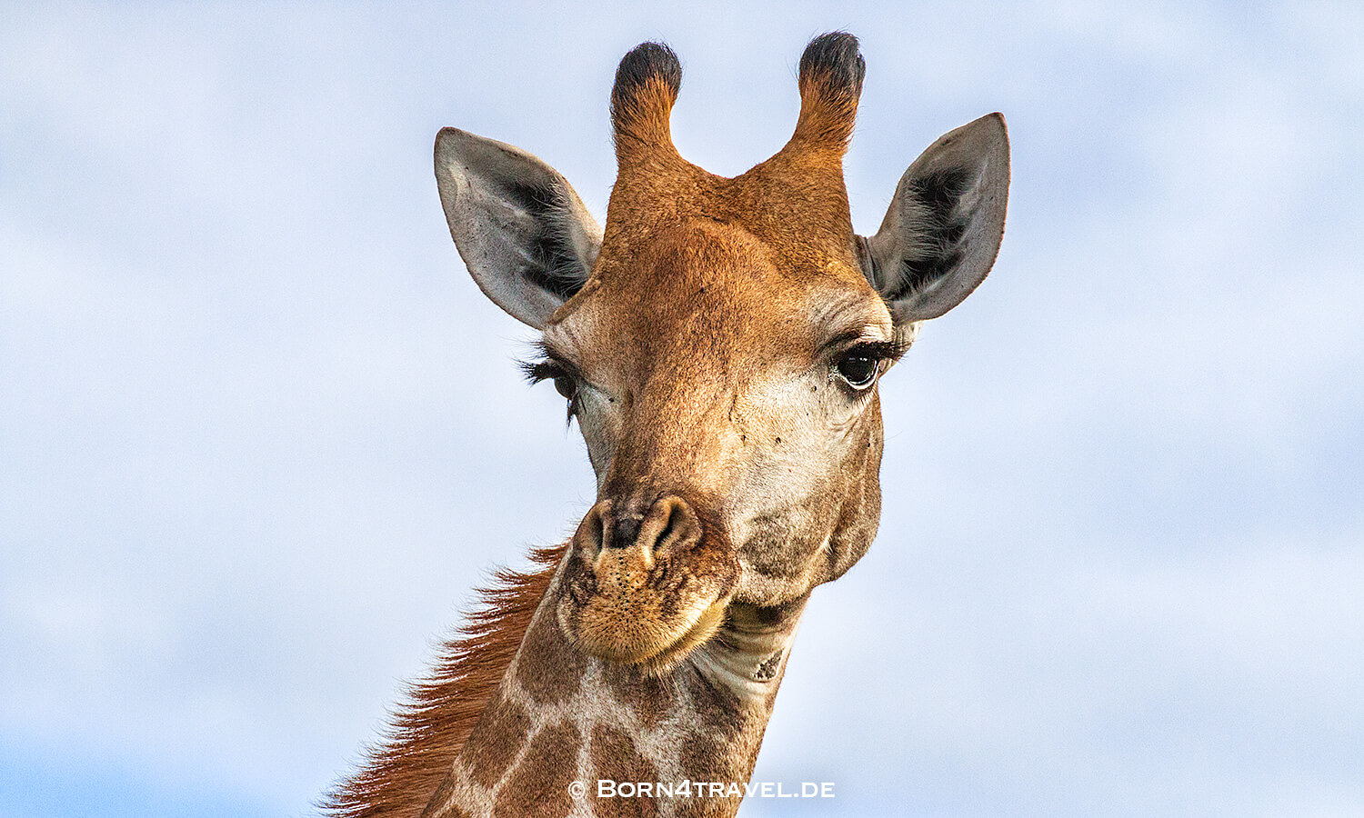 sunset im Kruger National Park,Mpumalanga,Südafrika,born4travel.de sunset im Kruger National Park,Mpumalanga,Südafrika,born4travel.de