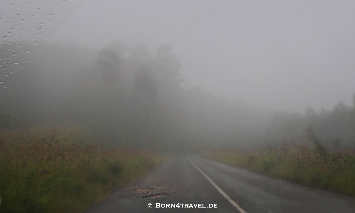 Graskop to Hazyview,R535,Mpumalanga,Südafrika,born4travel.de Graskop to Hazyview,R535,Mpumalanga,Südafrika,born4travel.de