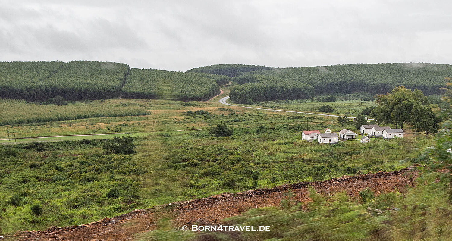 Graskop to Hazyview,R535,Mpumalanga,Südafrika,born4travel.de Graskop to Hazyview,R535,Mpumalanga,Südafrika,born4travel.de