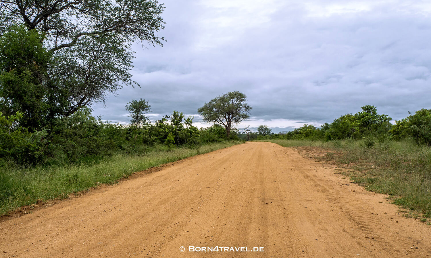 African Elephant im Kruger National Park,Mpumalanga,Südafrika,born4travel.de African Elephant im Kruger National Park,Mpumalanga,Südafrika,born4travel.de