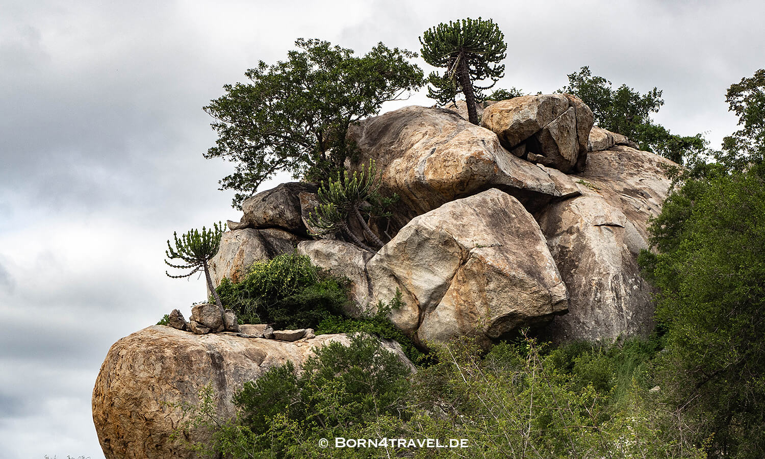 Stevenson-Hamilton Memorial Road im Kruger National Park,Mpumalanga,Südafrika,born4travel.de Stevenson-Hamilton Memorial Road im Kruger National Park,Mpumalanga,Südafrika,born4travel.de
