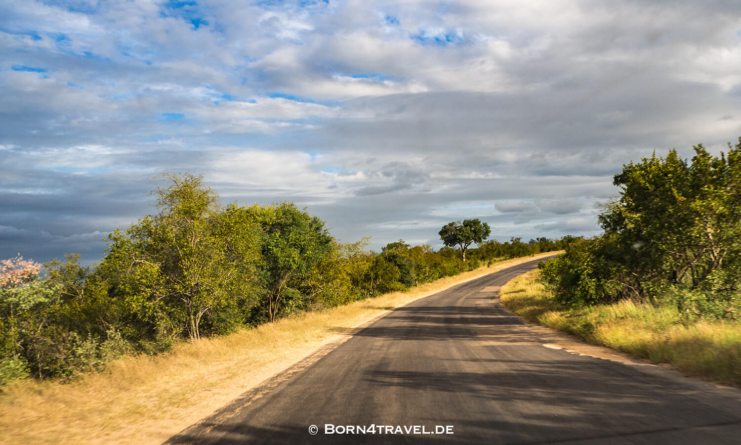 sunset im Kruger National Park,Mpumalanga,Südafrika,born4travel.de sunset im Kruger National Park,Mpumalanga,Südafrika,born4travel.de