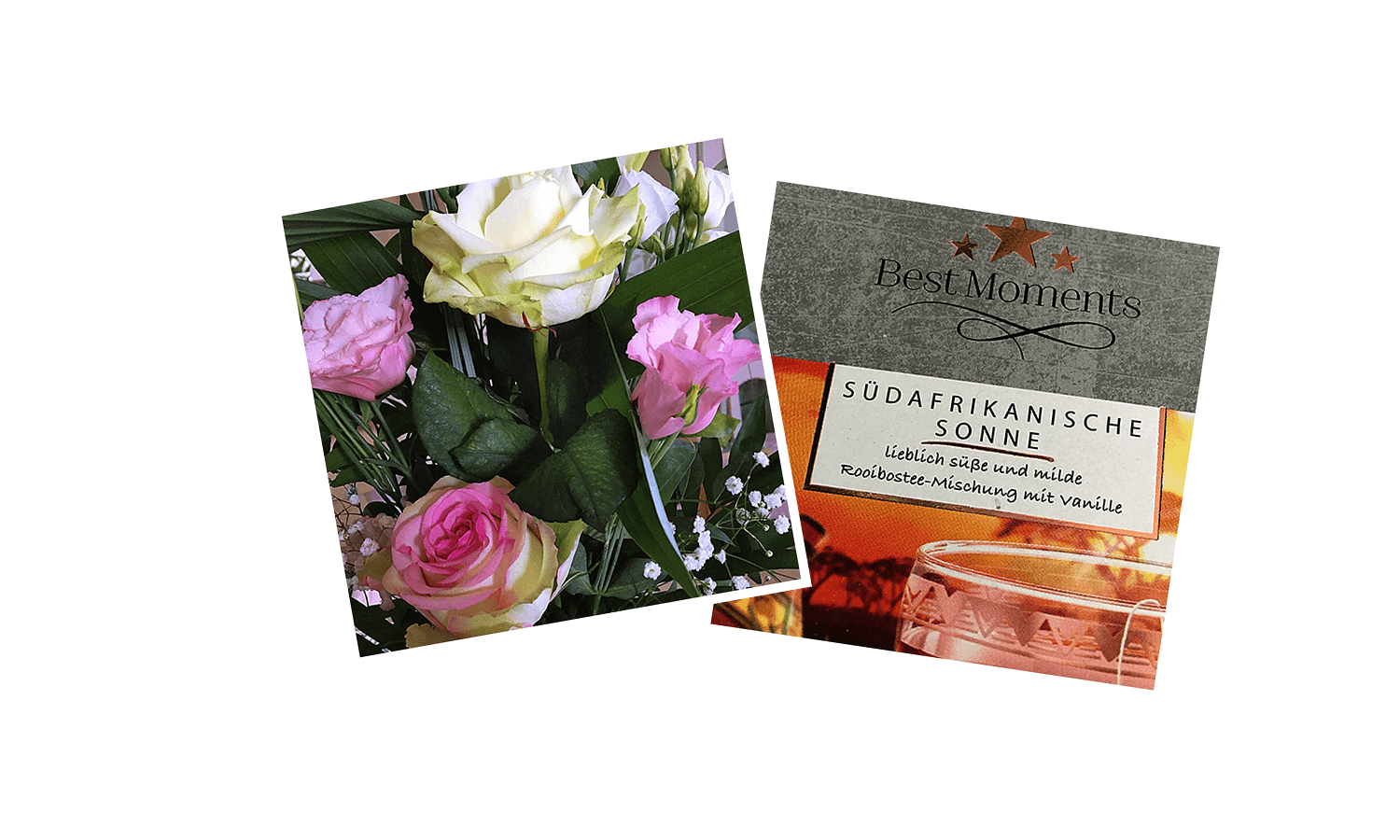 Südafrika,born4travel.de