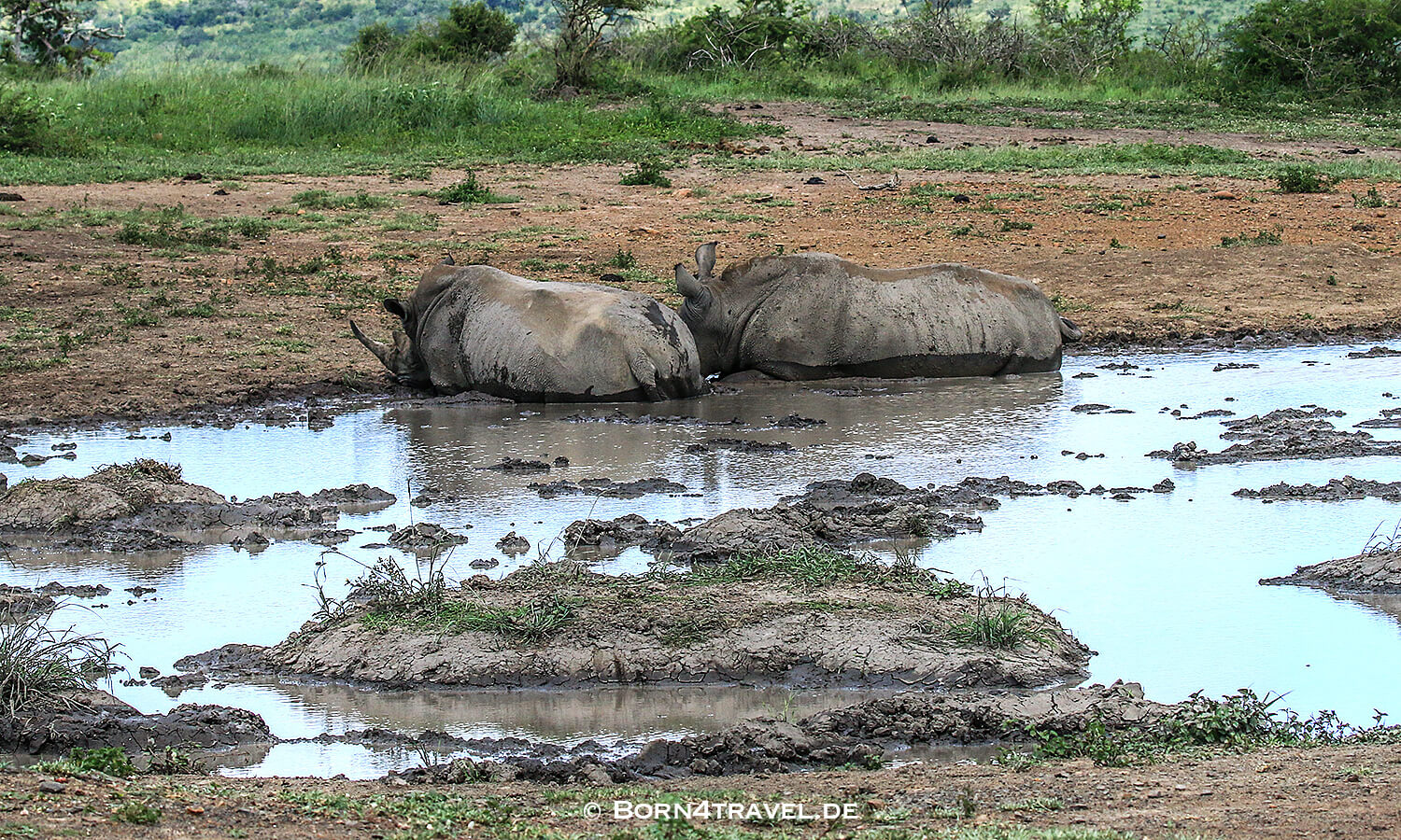 Nashorn, Rhino,,Hluhluwe Imfolozi, Kwazulu Natal,Südafrika,born4travel.de Nashorn, Rhino,Hluhluwe Imfolozi, Kwazulu Natal,Südafrika,born4travel.de