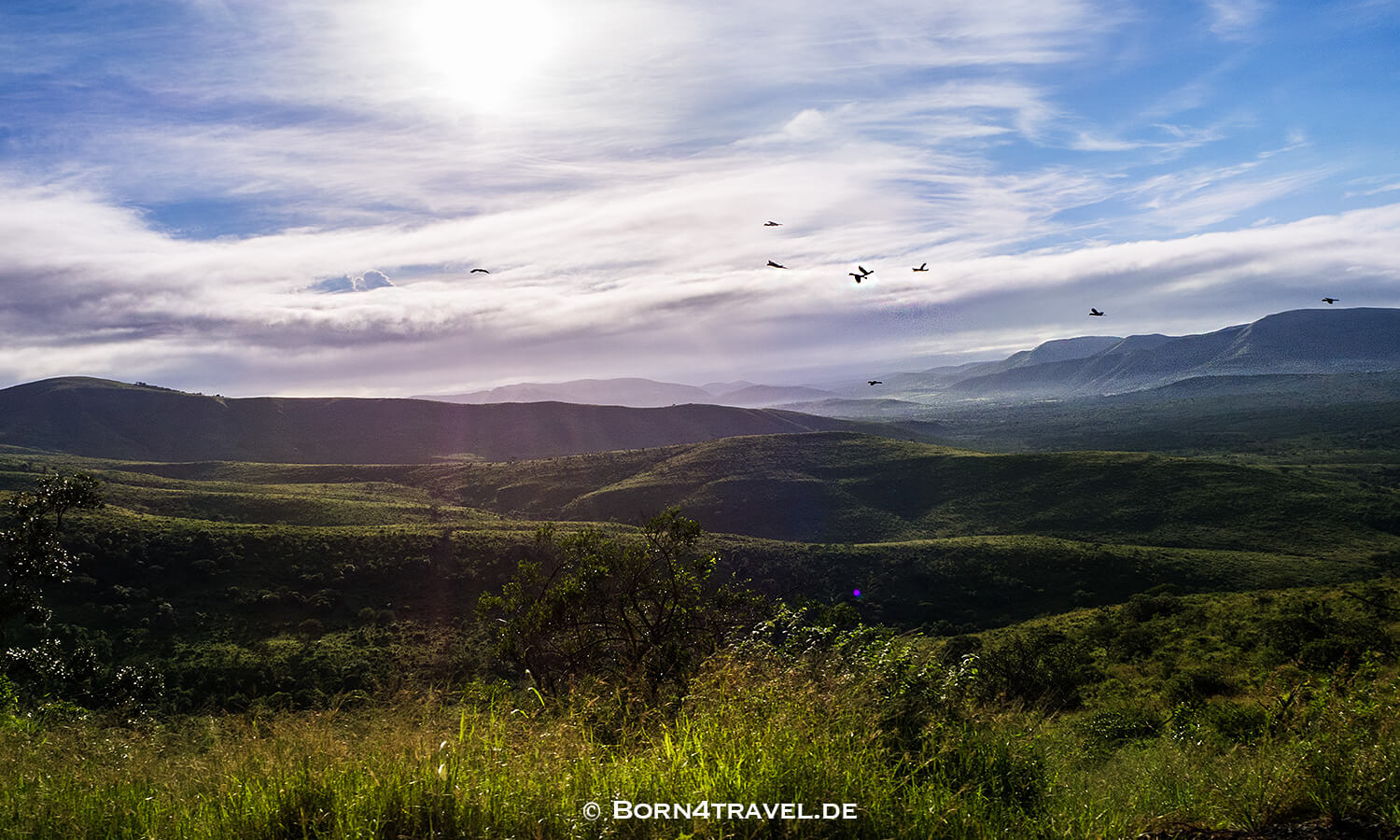 Morning Game Drive,Hluhluwe Imfolozi, Kwazulu Natal,Südafrika,born4travel.de Morning Game Drive,Hluhluwe Imfolozi, Kwazulu Natal,Südafrika,born4travel.de