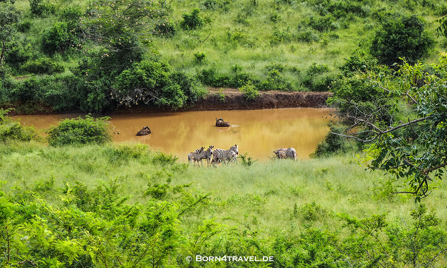 Morning Game Drive,Hluhluwe Imfolozi, Kwazulu Natal,Südafrika,born4travel.de Morning Game Drive,Hluhluwe Imfolozi, Kwazulu Natal,Südafrika,born4travel.de
