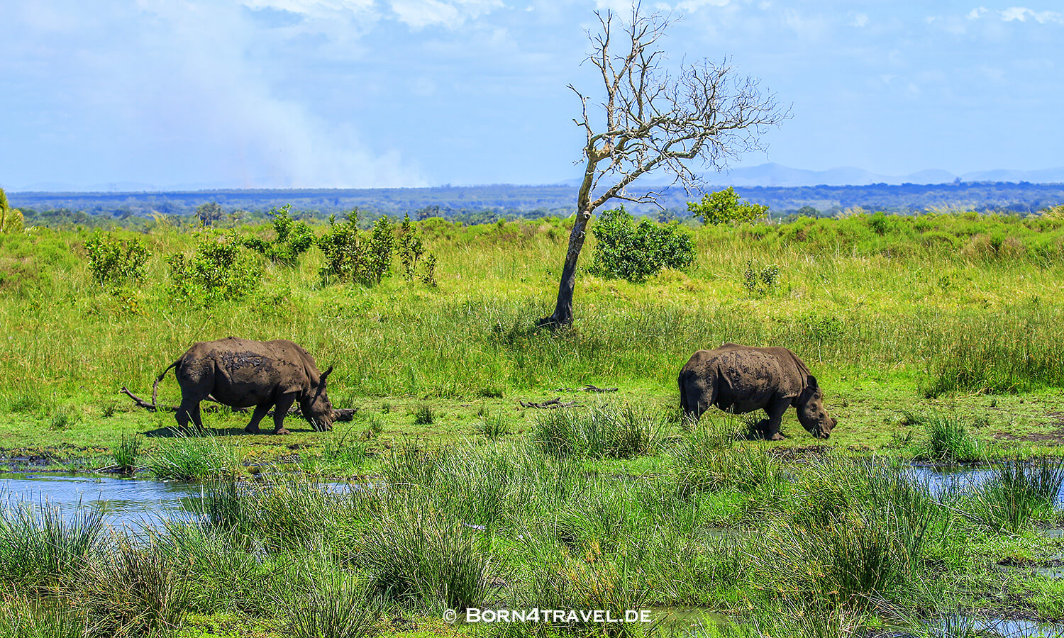 Amazibu Pan Loop,isimangaliso wetland park,Südafrika,born4travel.de Amazibu Pan Loop,isimangaliso wetland park,Südafrika,born4travel.de