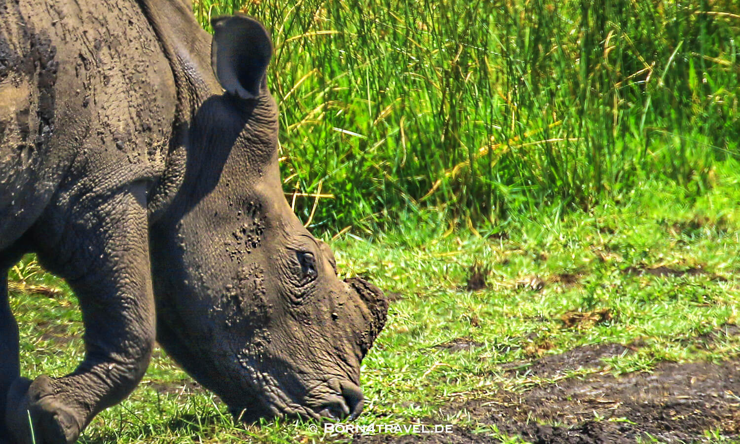 Amazibu Pan Loop,isimangaliso wetland park, Südafrika,born4travel.de Amazibu Pan Loop,isimangaliso wetland park,Südafrika,born4travel.de