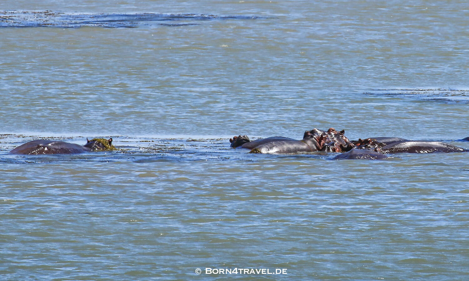 Catalina Bay Lookout,isimangaliso wetland park, Südafrika,born4travel.de Catalina Bay Lookout,isimangaliso wetland park,Südafrika,born4travel.de