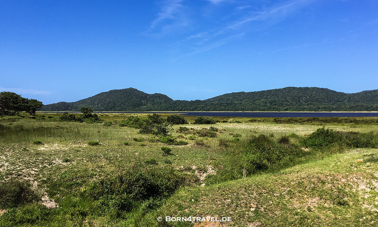 Graslandloop,isimangaliso wetland park,Südafrika,born4travel.de isimangaliso wetland park,Graslandloop,Südafrika,born4travel.de