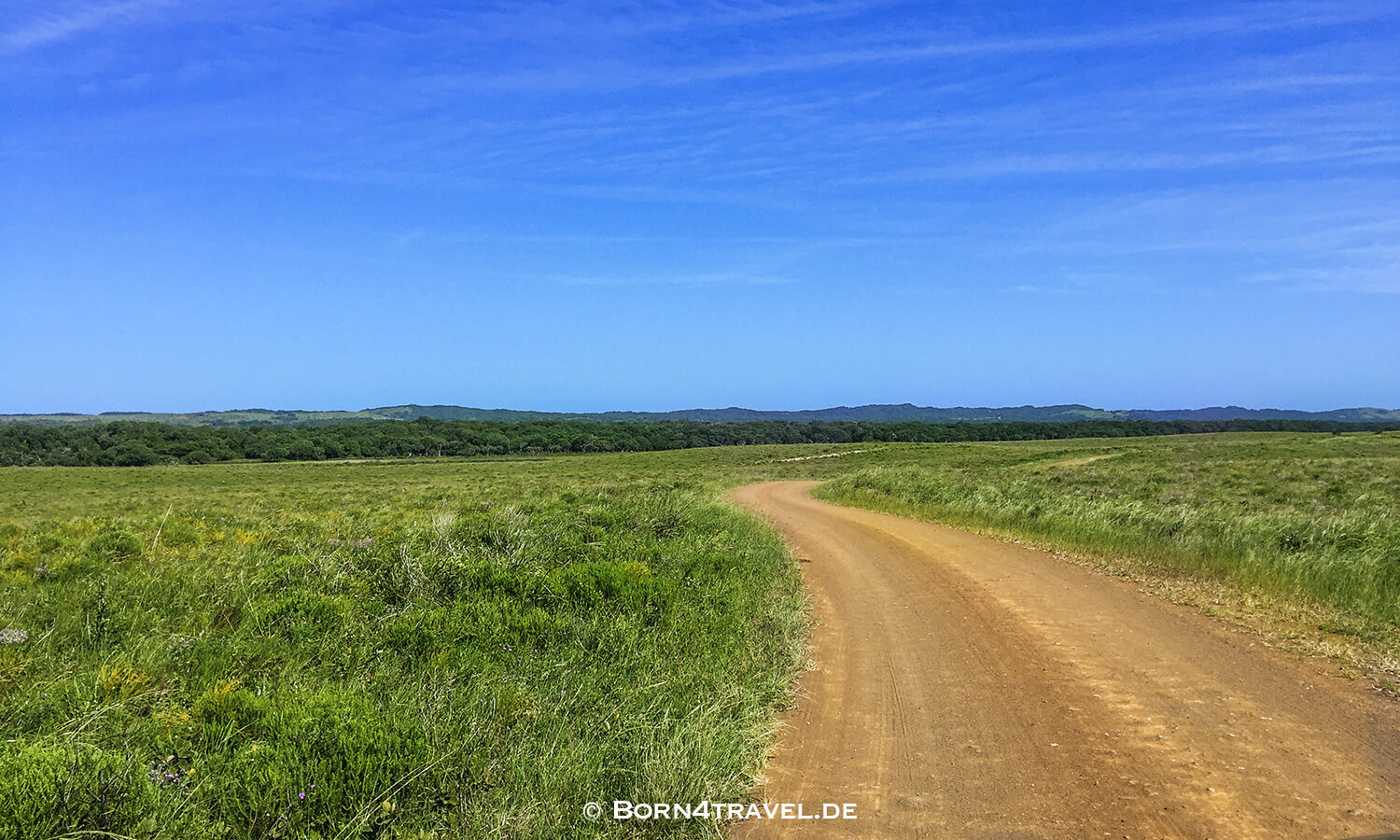 Graslandloop,isimangaliso wetland park,Südafrika,born4travel.de isimangaliso wetland park,Graslandloop,Südafrika,born4travel.de