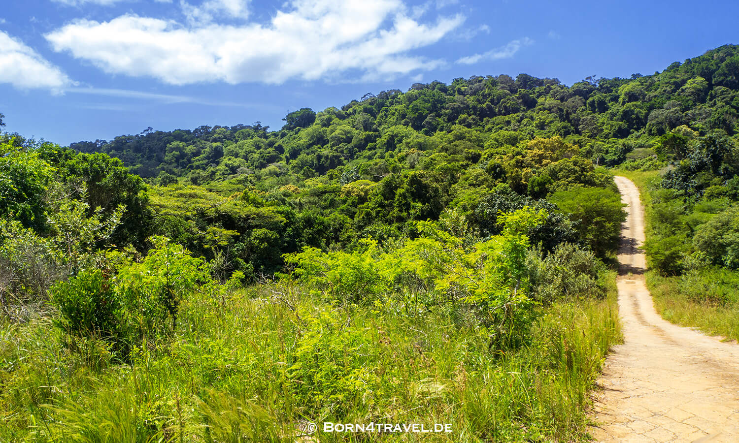 Vlei Loop,isimangaliso wetland park,Südafrika,born4travel.de Vlei Loop,isimangaliso wetland park,Südafrika,born4travel.de