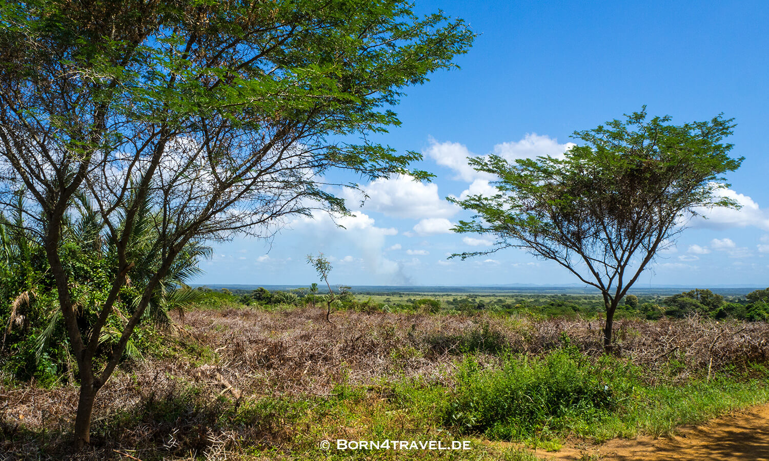 Vlei Loop,isimangaliso wetland park, Südafrika,born4travel.de Vlei Loop,isimangaliso wetland park,Südafrika,born4travel.de
