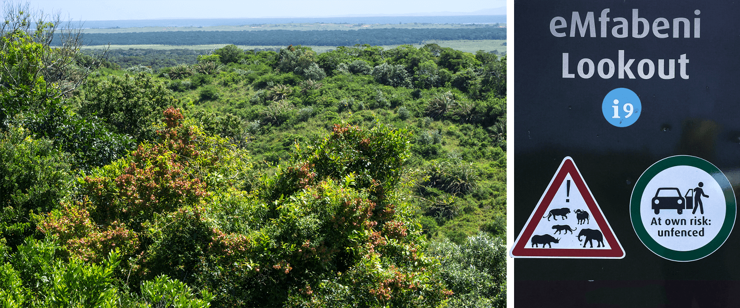 eMfabeni Lookout,isimangaliso wetland park,Südafrika,born4travel.de isimangaliso wetland park,eMfabeni Lookout,Südafrika,born4travel.de