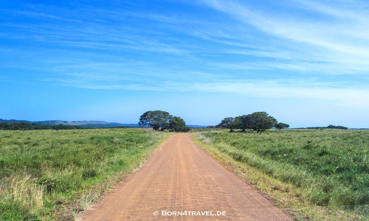 Graslandloop,isimangaliso wetland park,Südafrika,born4travel.de isimangaliso wetland park,Graslandloop,Südafrika,born4travel.de