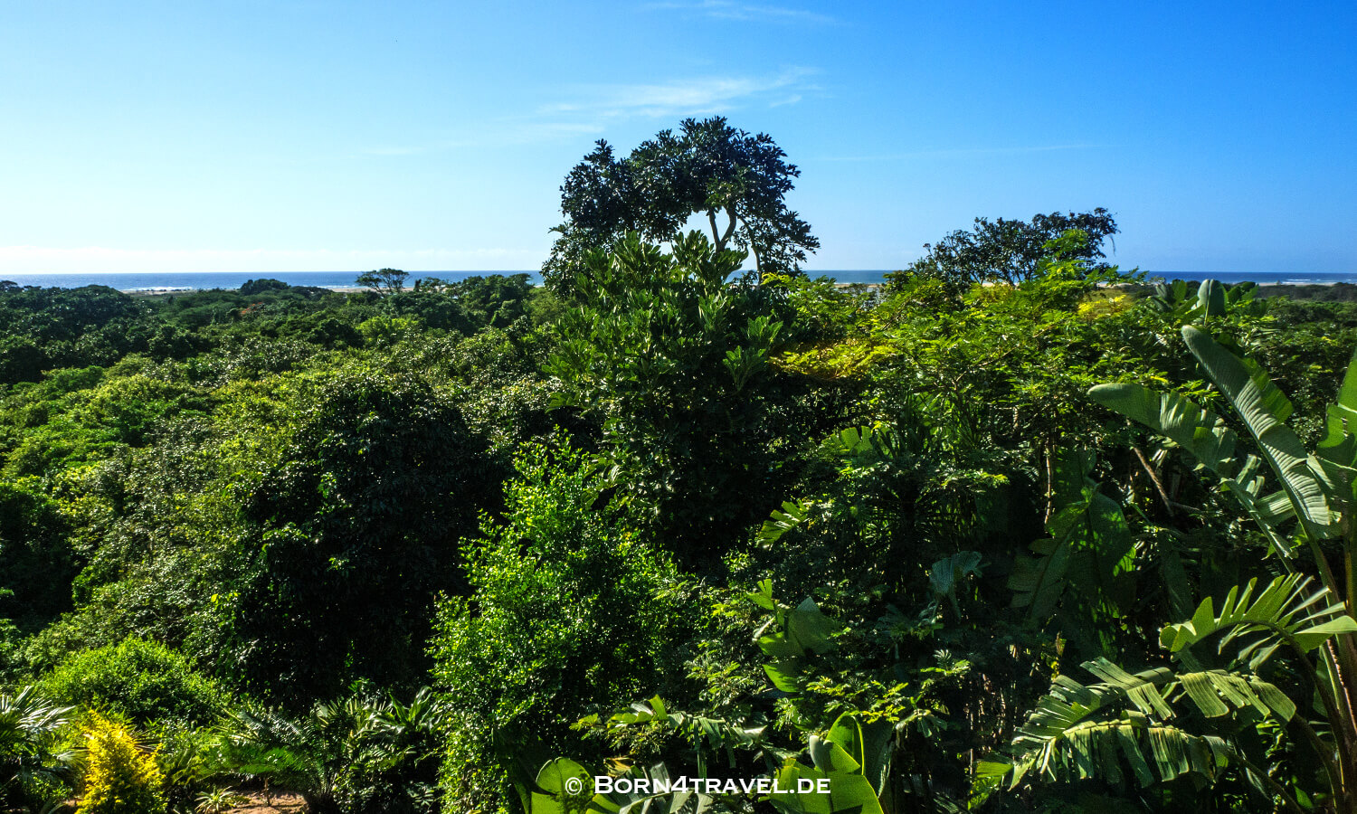 Ndiza cabana&lodge, St.Lucia,KwaZulu Natal,Südafrika,born4travel.de