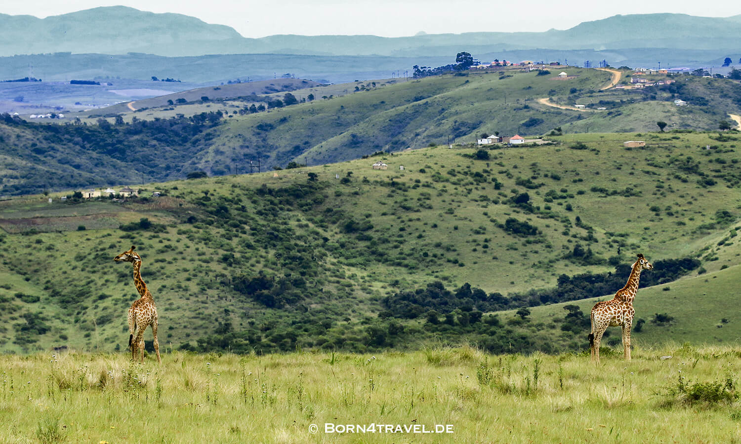 View to The Gorge-Private game Lodge,Lake Eland Game Reserve, Oribi Gorge,Südafrika,born4travel.de Lake Eland Game Reserve, Oribi Gorge,Südafrika,born4travel.de