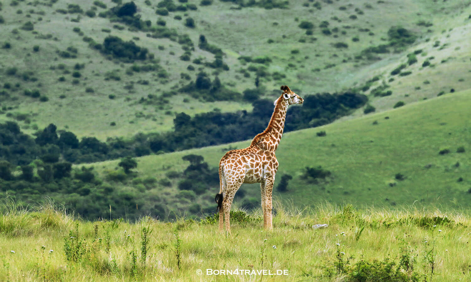 View to The Gorge-Private game Lodge,Lake Eland Game Reserve, Oribi Gorge,Südafrika,born4travel.de Lake Eland Game Reserve, Oribi Gorge,Südafrika,born4travel.de