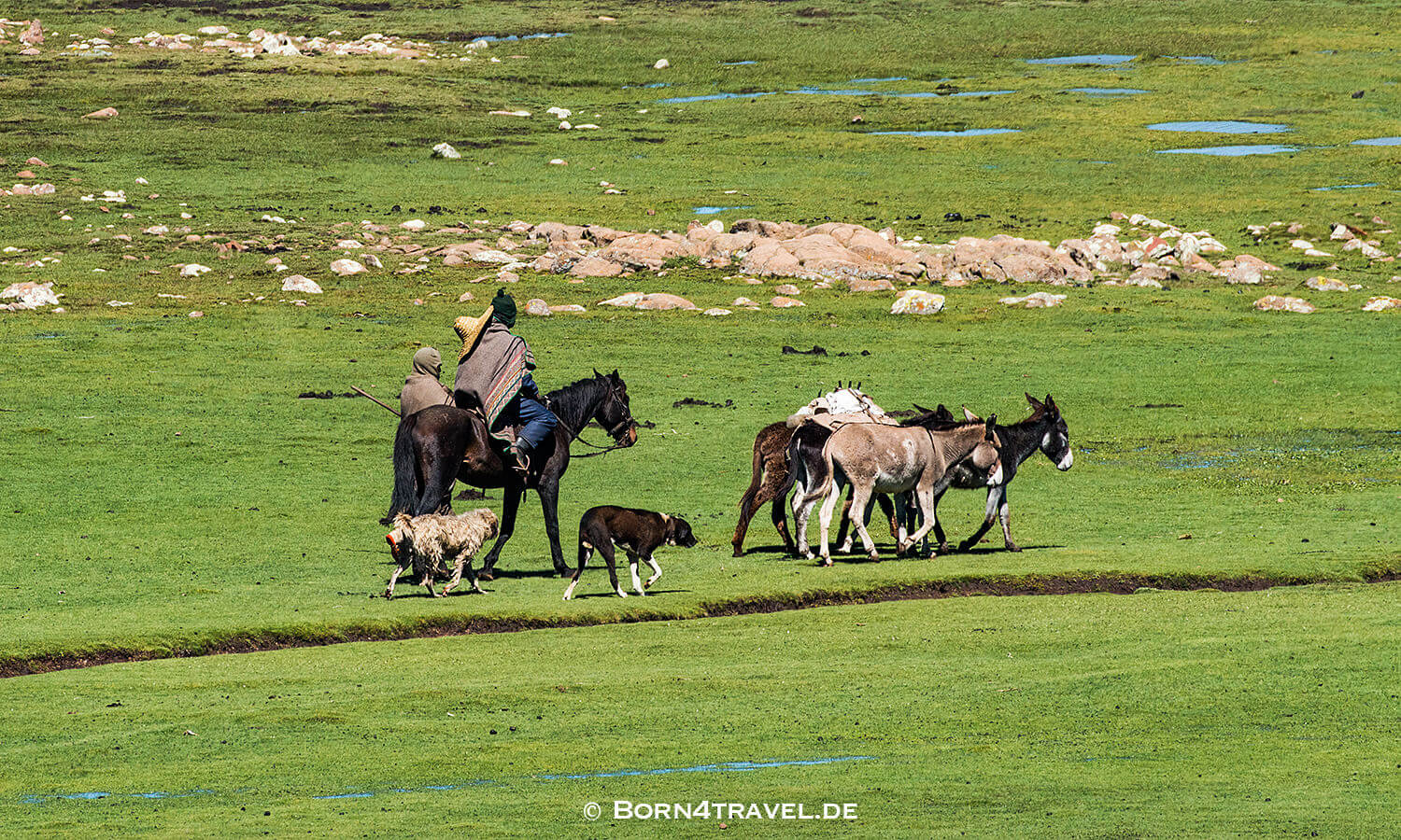Unterwegs auf der A31 in Lesotho,Mokhotlong,born4travel.de