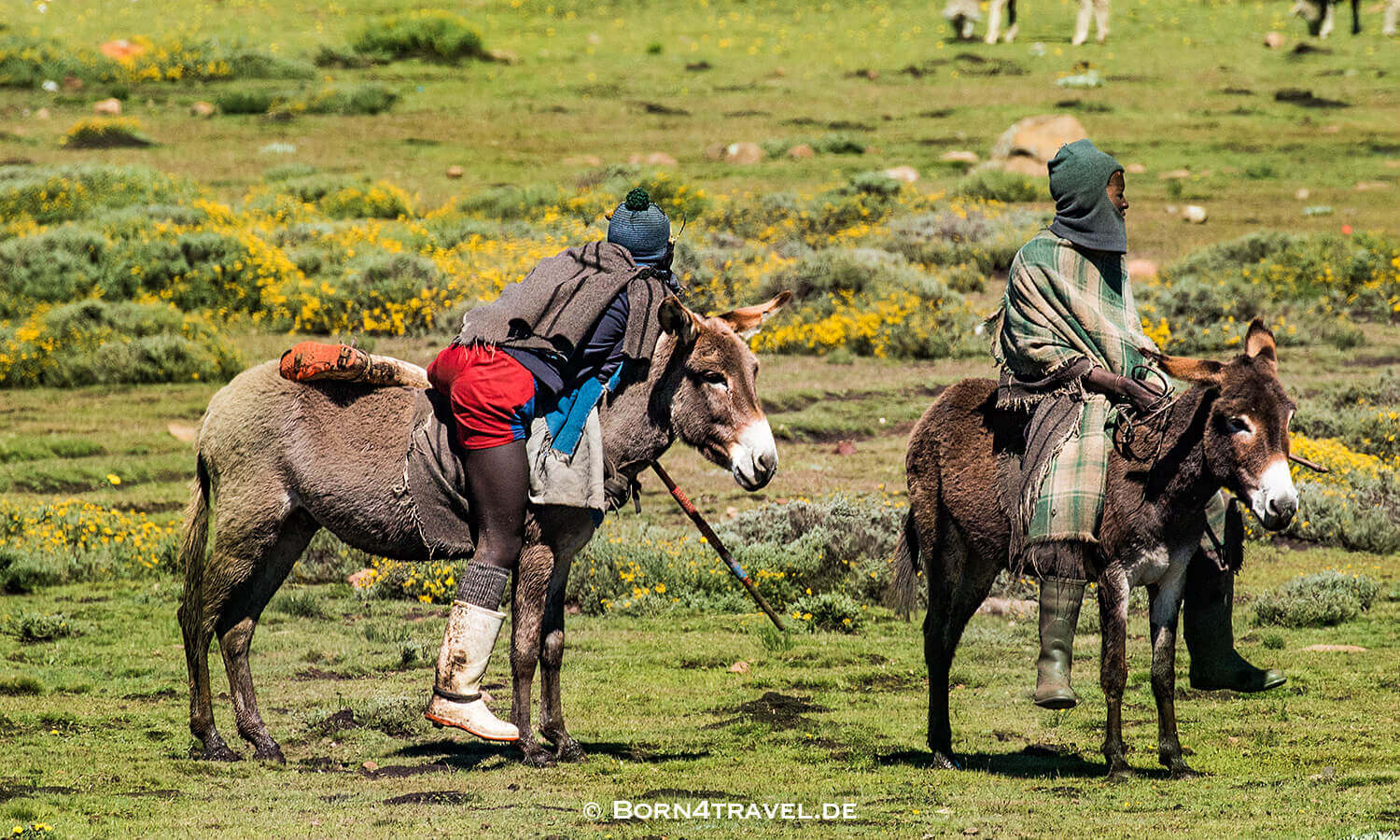 Unterwegs auf der A31 in Lesotho,Mokhotlong,born4travel.de