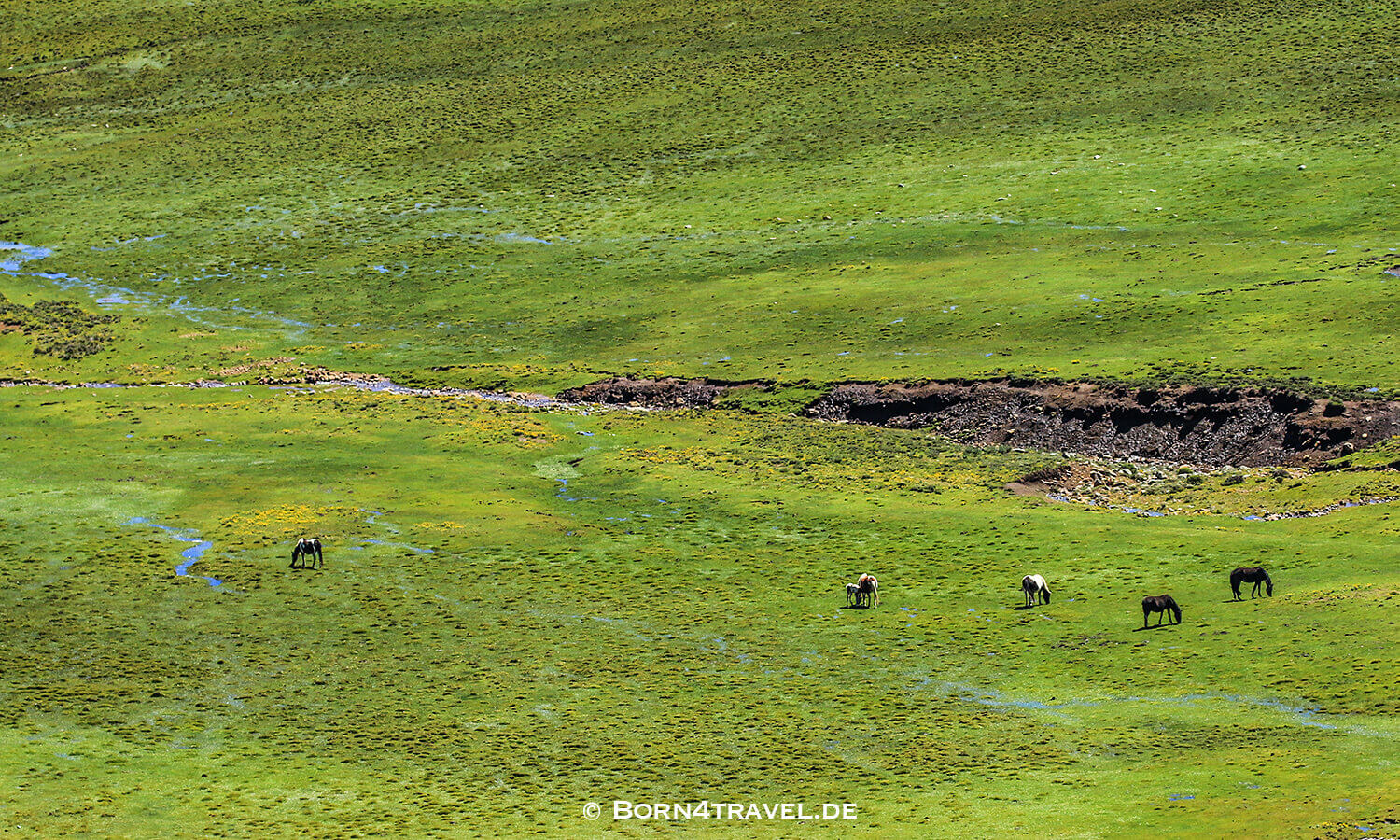 Unterwegs auf der A31 in Lesotho,Mokhotlong,born4travel.de