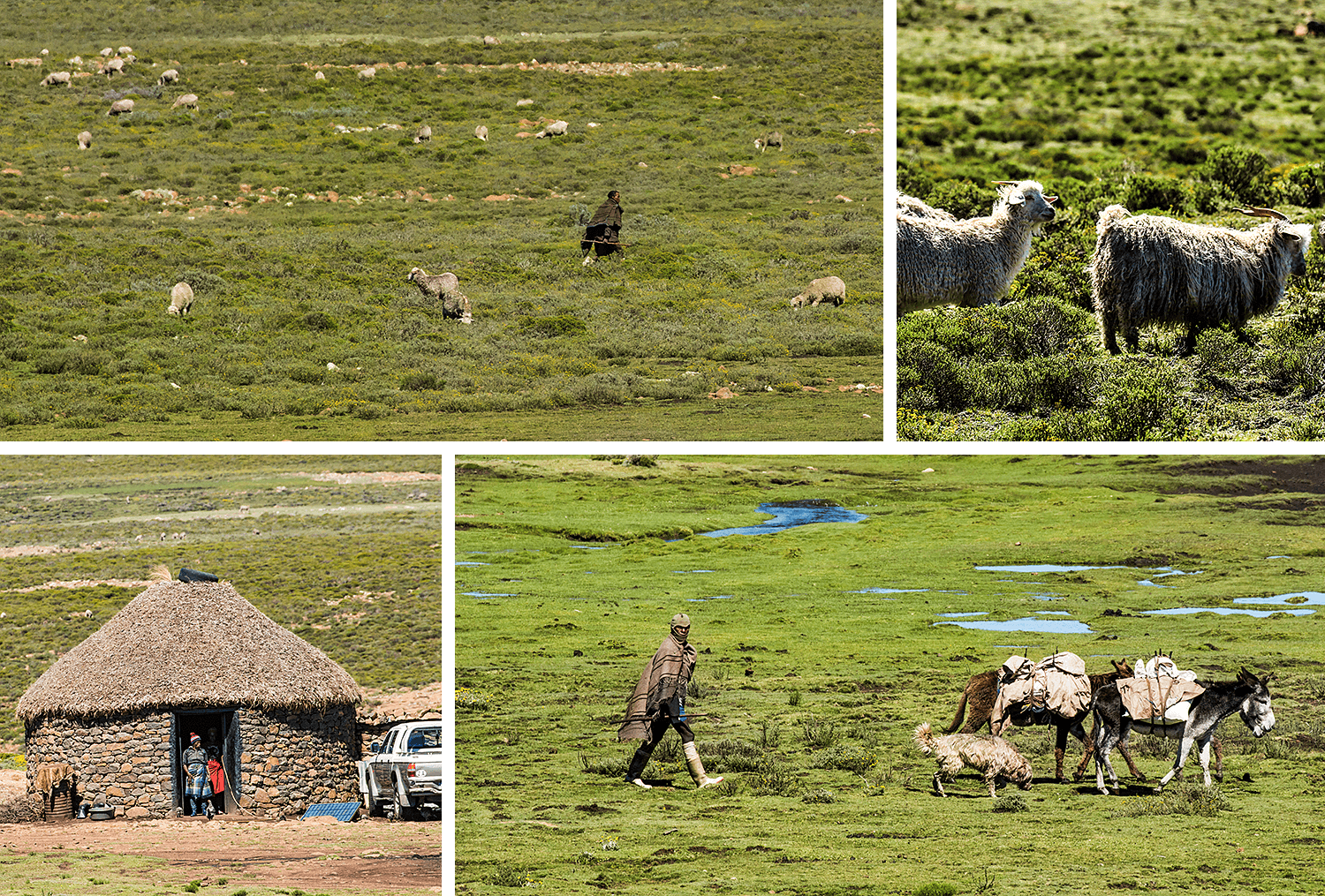 Unterwegs auf der A31 in Lesotho,Mokhotlong,born4travel.de
