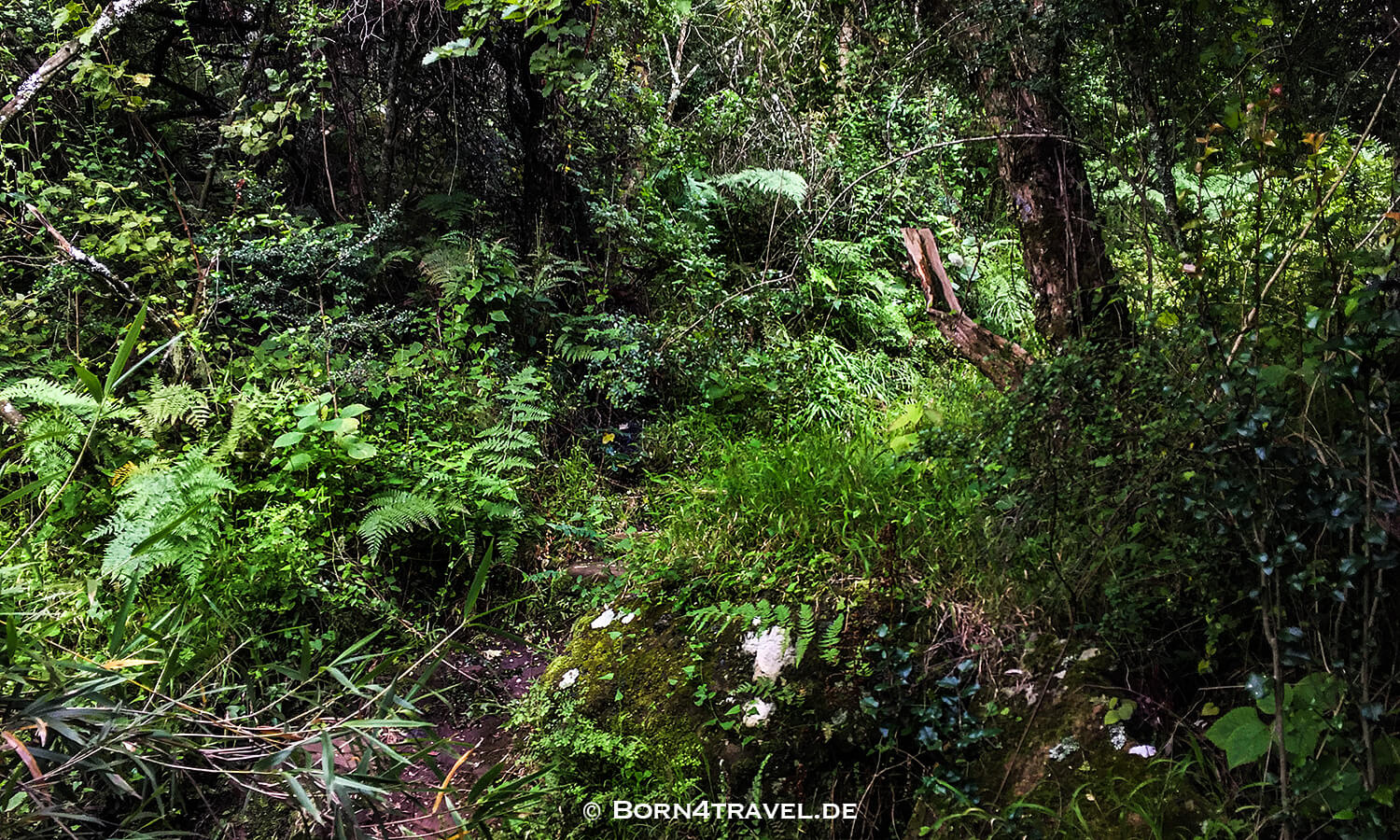 River Walk,Bushman's River,Sanparks,Maloti Drakensberge Park, KwaZulu Natal,Südafrika,born4travel.de
