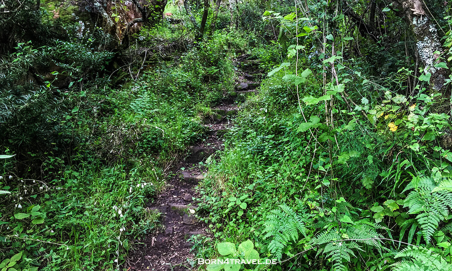 River Walk,Bushman's River,Sanparks,Maloti Drakensberge Park, KwaZulu Natal,Südafrika,born4travel.de