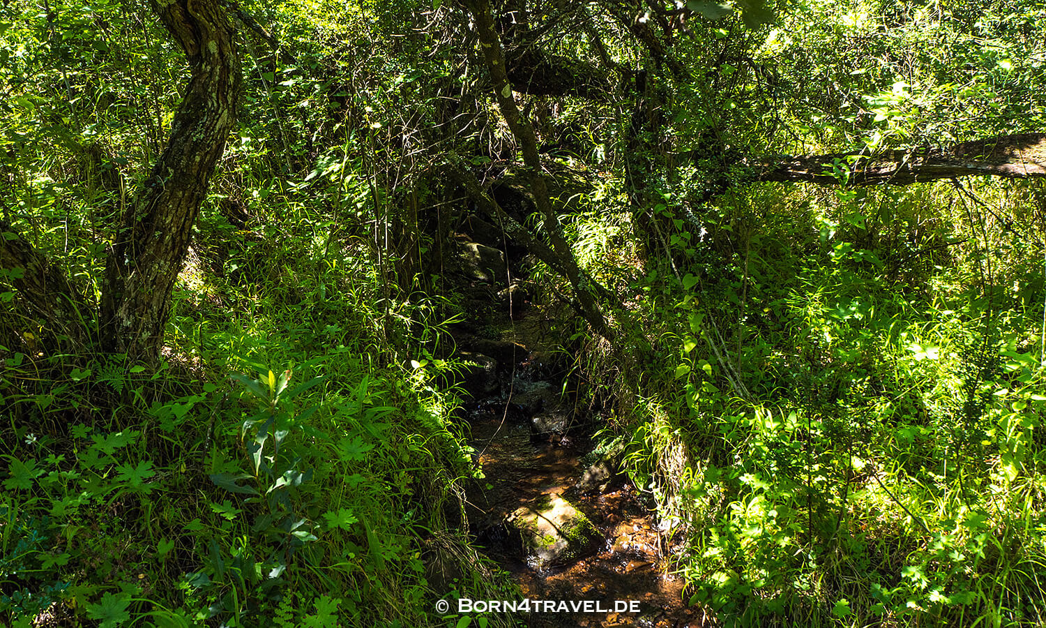 Main Caves,Giants Castle,Maloti Drakensberge Park, KwaZulu Natal,Südafrika,born4travel.de