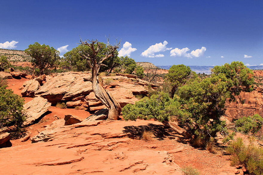colorado np, colorado, usa