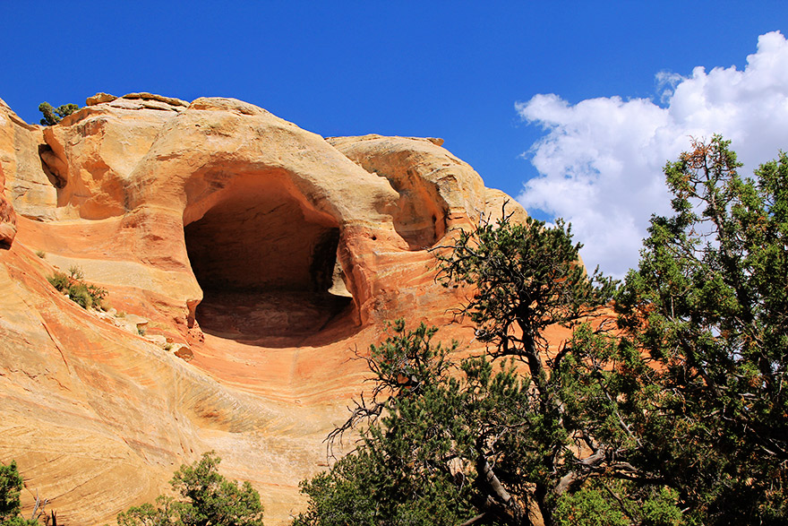 rattle snake canyon, colorado, usa