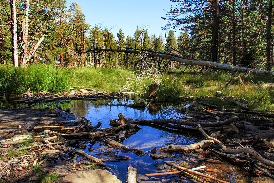 San Jacino State Park,California,USA