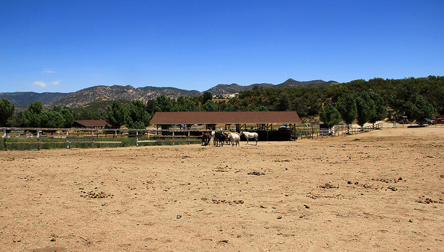 Pines to Desert Highway,California,USA
