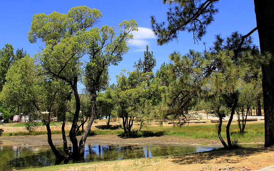Pines to Desert Highway,California,USA
