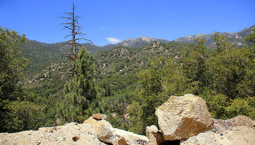 Pines to Desert Highway,California,USA