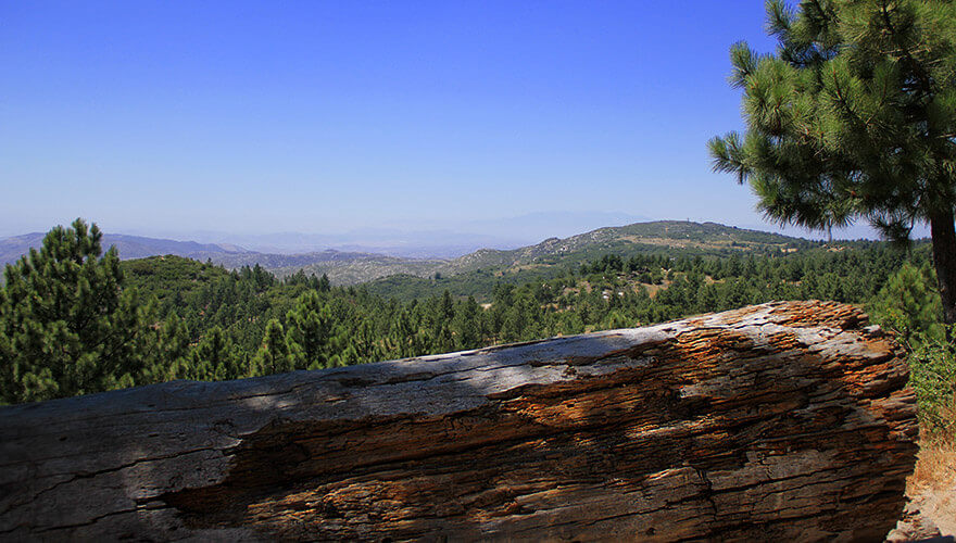 Pines to Desert Highway,California,USA