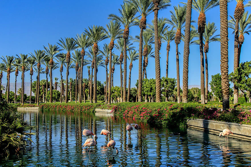 JW Marriott Desert Springs Resort&Spa ,California,USA