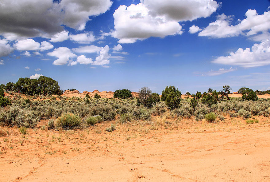 coyote buttes south,Utah,USA