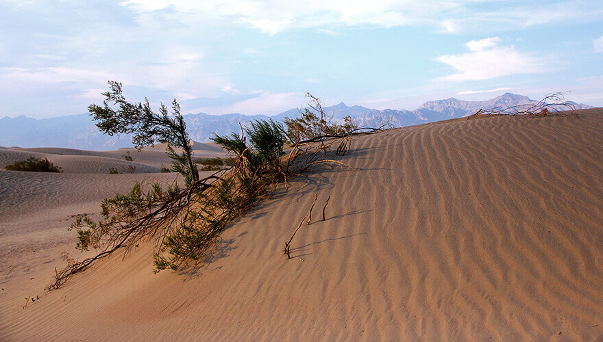 Mesquite Flat Sand Dunes, Death Valley, California, USA