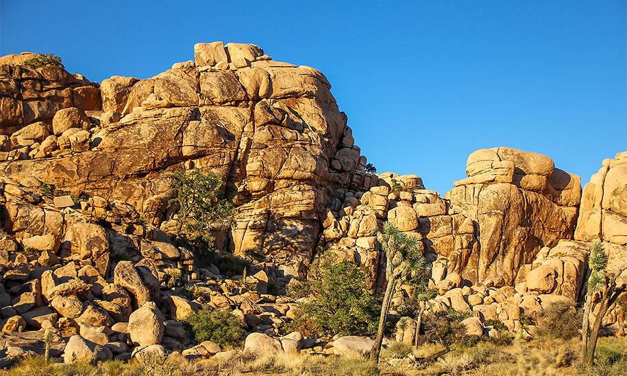 Joshua Tree National Park, California, USA Joshua Tree National Park, California, USA