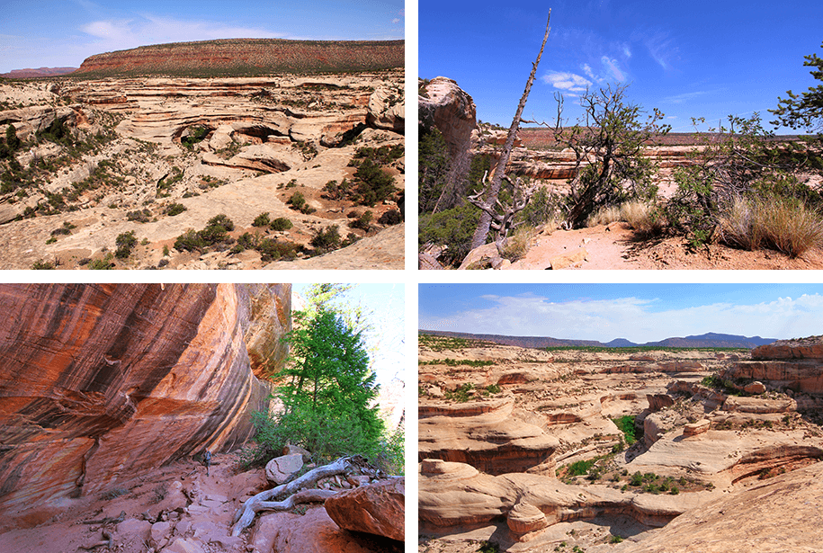 Sipapu-Bridge, Utah, USA