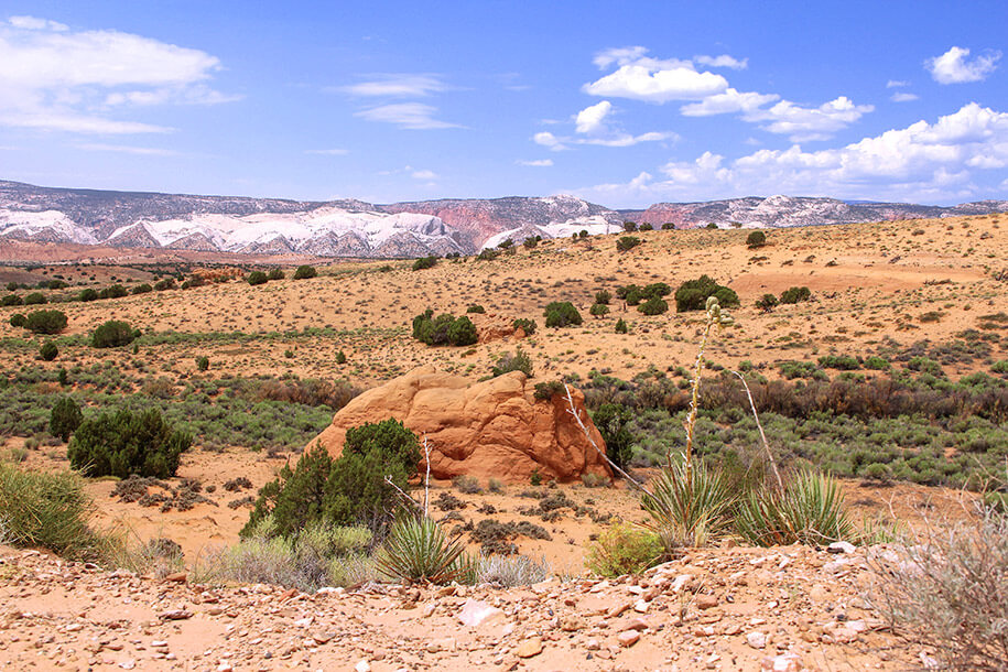 Burr Trail, Utah, USA Burr Trail, Utah, USA
