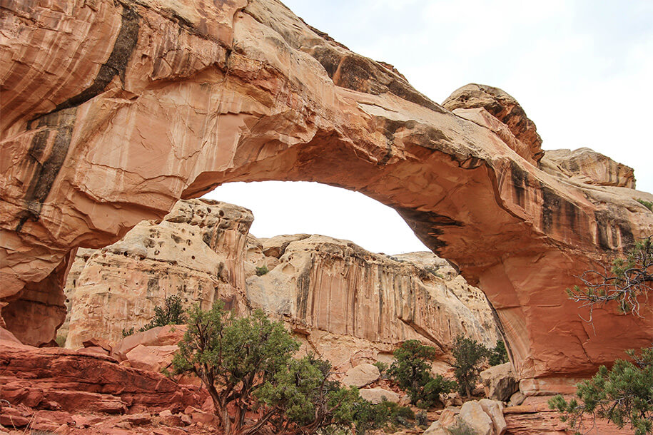 Hickman Bridge,Capitol National Park,Utah,USA Hickman Bridge,Capitol National Park,Utah,USA