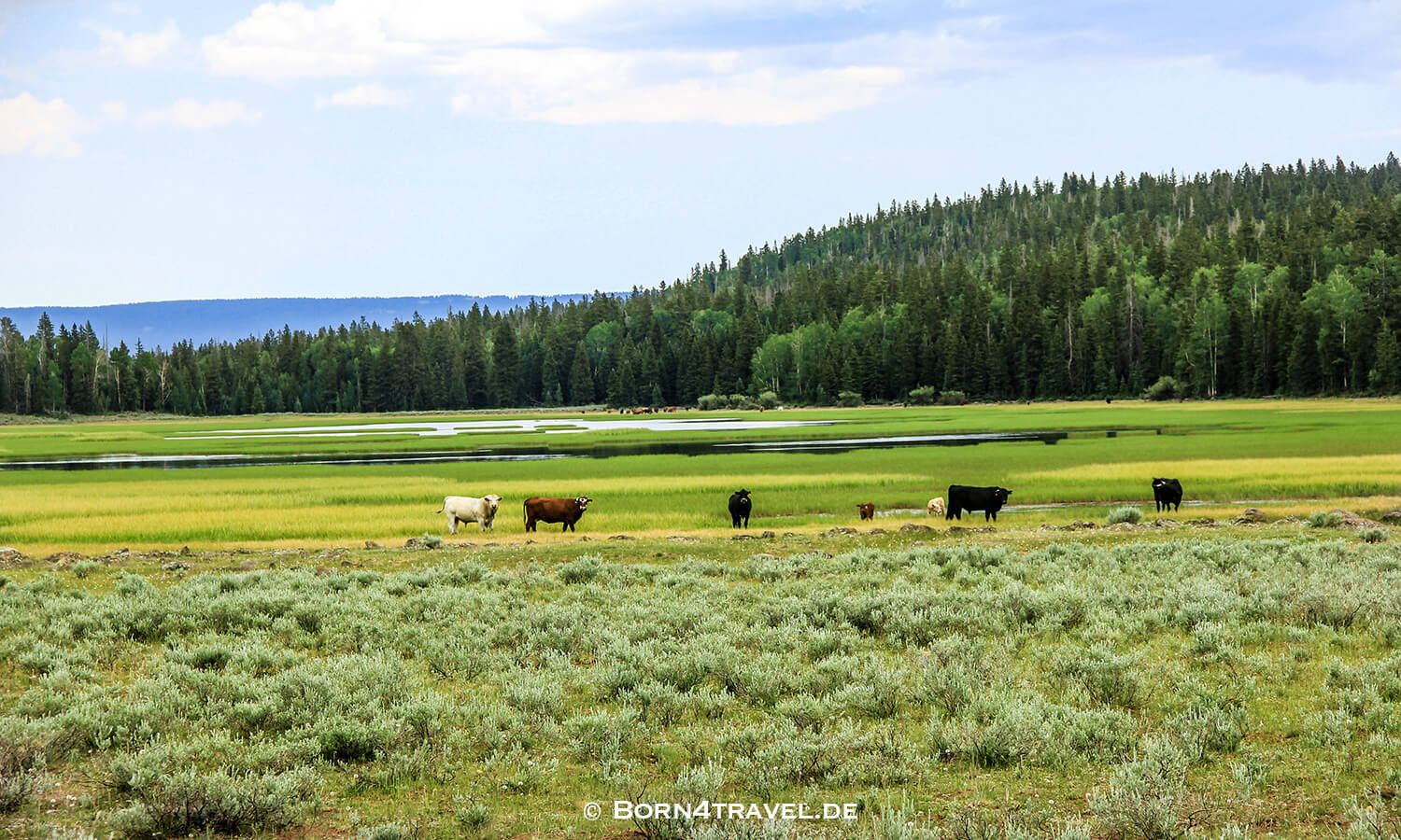 Cyclone Lake,Escalante,Utah,USA,born4travel.de Cyclone Lake,Escalante,Utah,USA,born4travel.de
