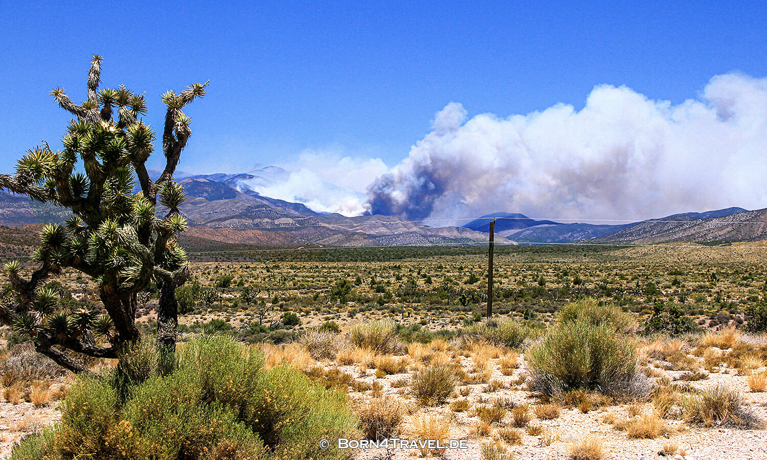 Las Vegas Fire,Nevada,USA,born4travel.de