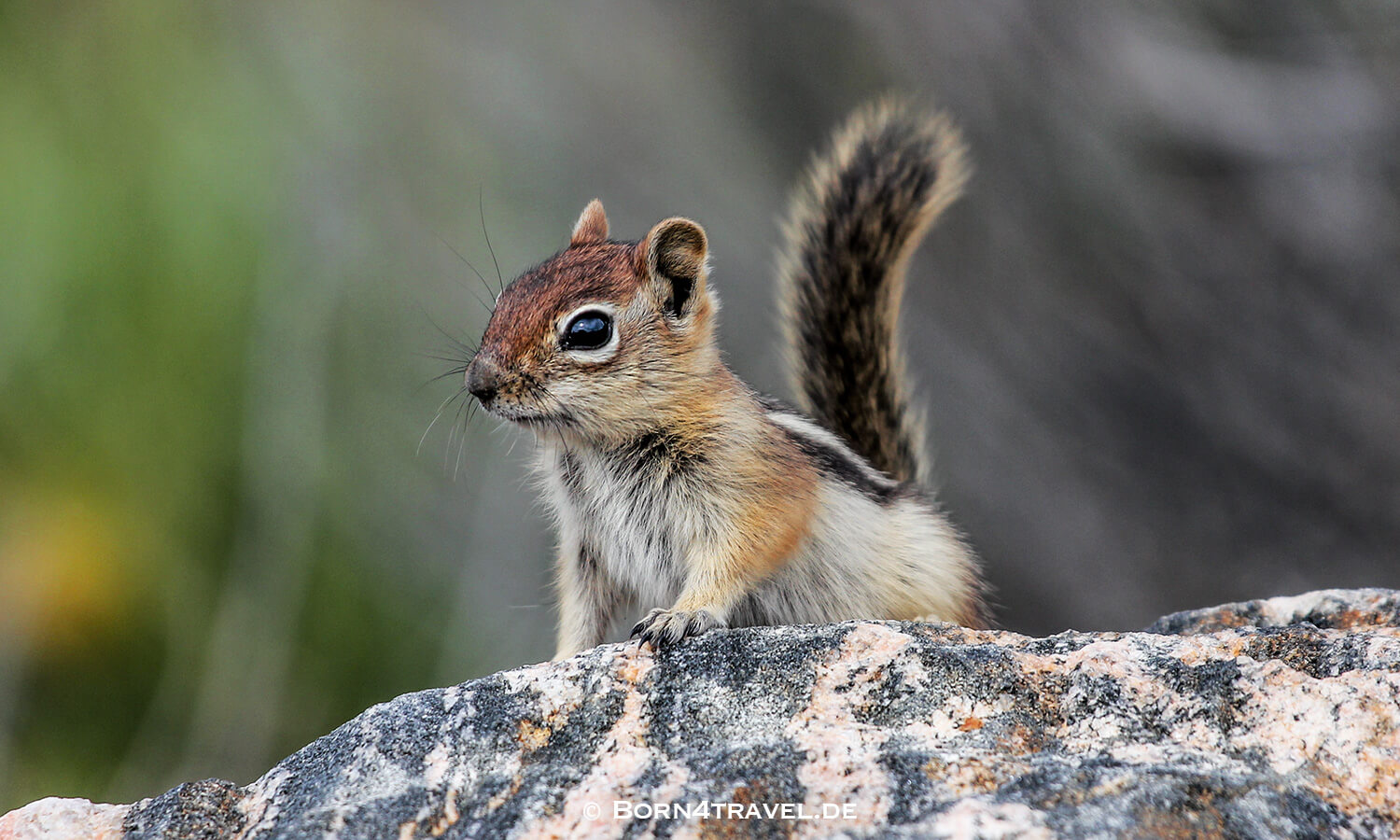 Curecanti National Recreation Area, West Elk Loop Byway,Colorado,USA,born4travel.de