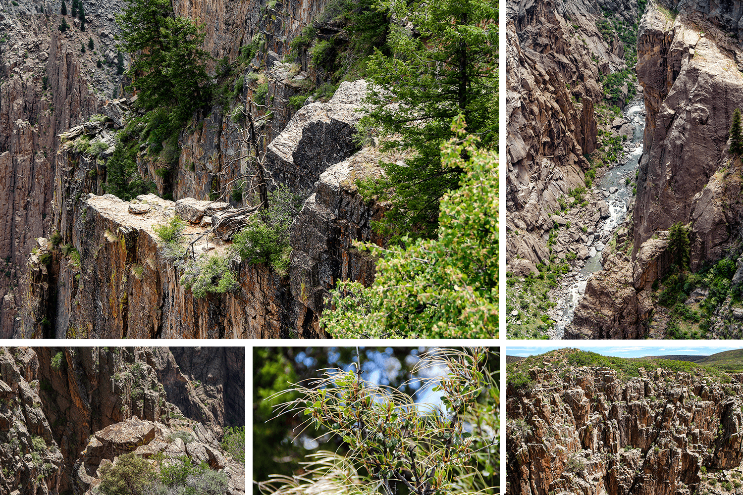 Black Canyon of the Gunnison National Park,West Elk Loop Byway,Colorado,USA,born4travel.de